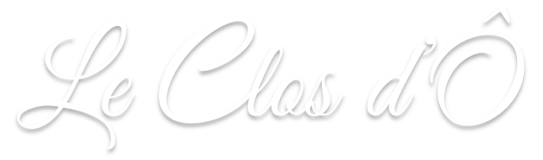 Logo du site avec ombre